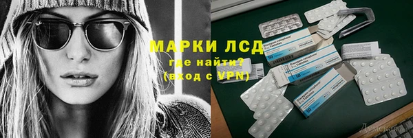 стаф Алексин