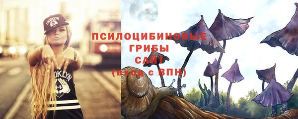 стаф Алексин