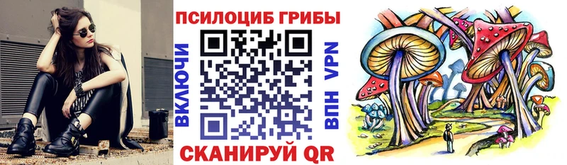 Псилоцибиновые грибы мицелий  Цивильск 